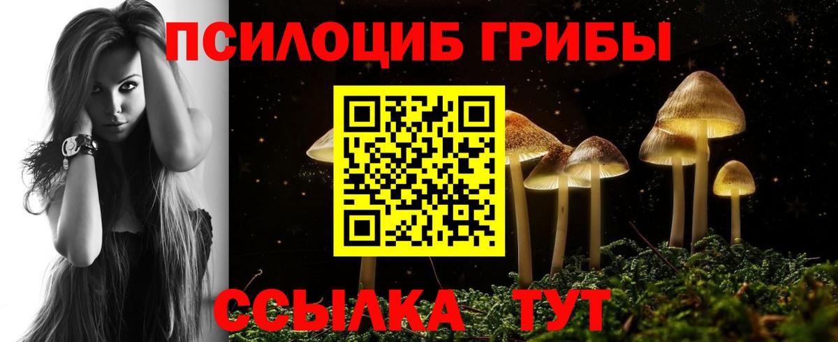 Верхний Уфалей  Галлюциногенные грибы прущие грибы  Вход с VPN  Псилоцибиновые грибы прущие грибы 